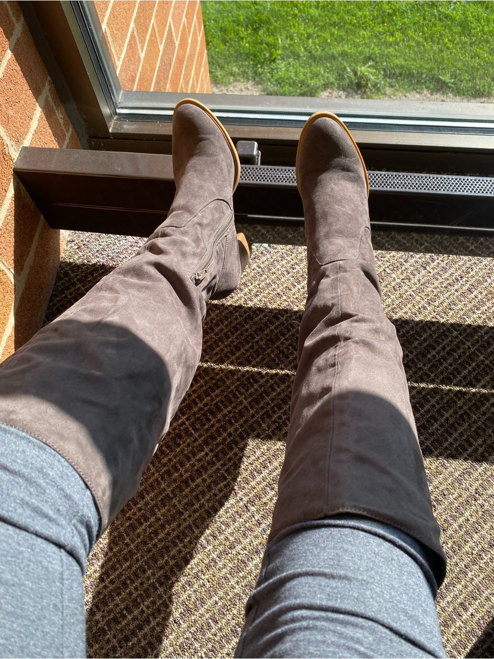 DV by Dolce Vita Tall Over-the-Knee Suede Boots in Brown